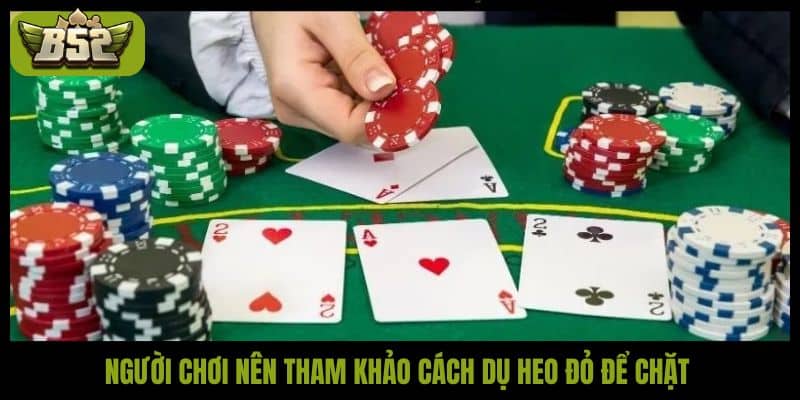 Người chơi nên tham khảo cách dụ heo đỏ để chặt 